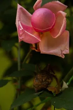 快速访问幸运号码统计